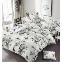 Комплект євро бязь Ранфорс “МастерТекс“