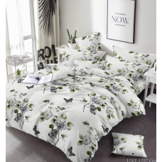 Комплект євро бязь Ранфорс “МастерТекс“