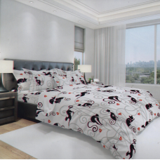 Комплект євро бязь Ранфорс “МастерТекс“