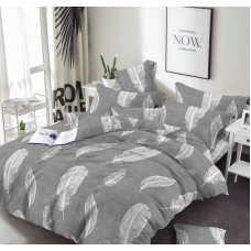 Комплект євро бязь Ранфорс “МастерТекс“