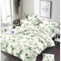 Комплект 2,0 бязь Ранфорс “МастерТекс“